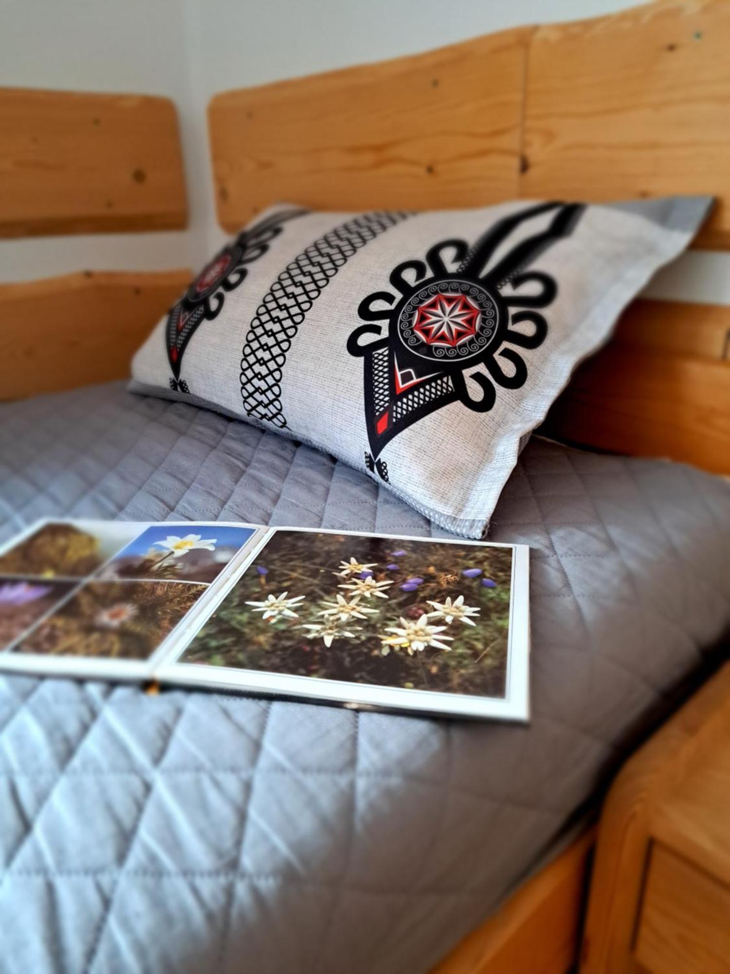 Przy Szlaku Zakopane Centrum Pokoje & Apartamenty ภายนอก รูปภาพ