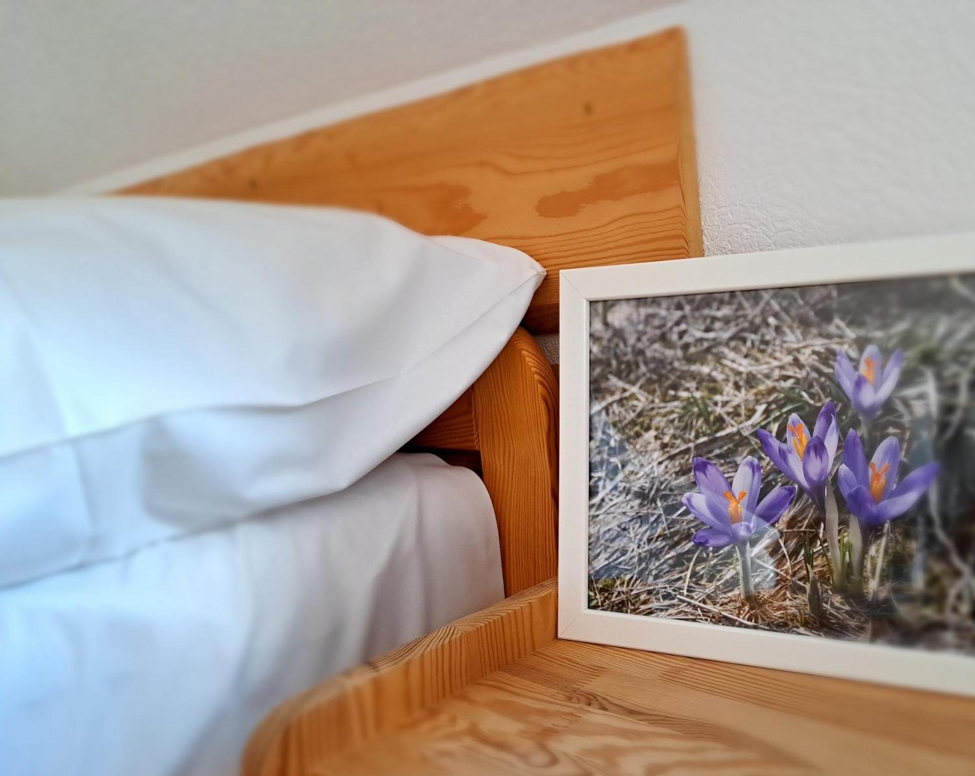 Przy Szlaku Zakopane Centrum Pokoje & Apartamenty ภายนอก รูปภาพ