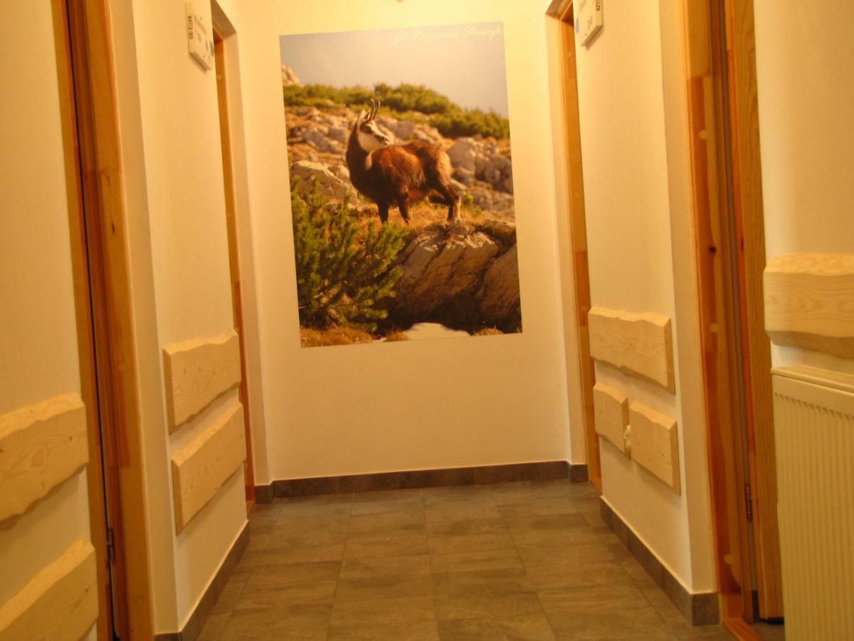 Przy Szlaku Zakopane Centrum Pokoje & Apartamenty ภายนอก รูปภาพ